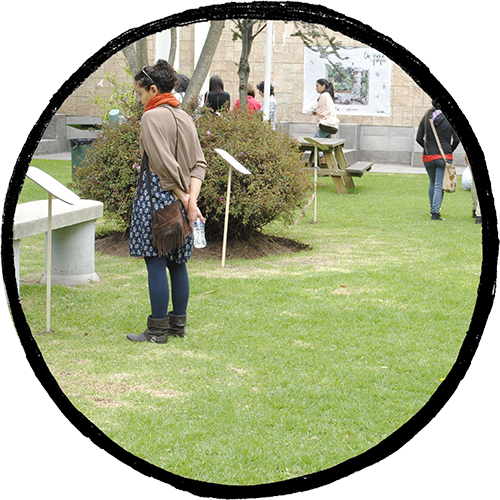 Exhibición Un Jardín Propio, Quito 2016