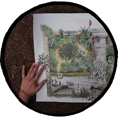 Primer dibujo del jardín