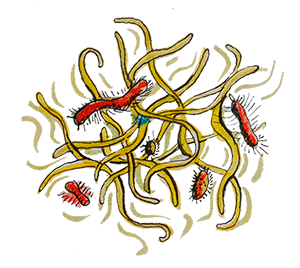 Bichos (purgante)