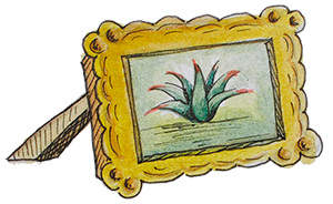 Álbum de plantas